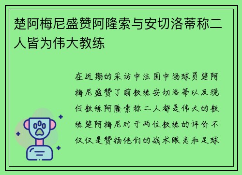 楚阿梅尼盛赞阿隆索与安切洛蒂称二人皆为伟大教练